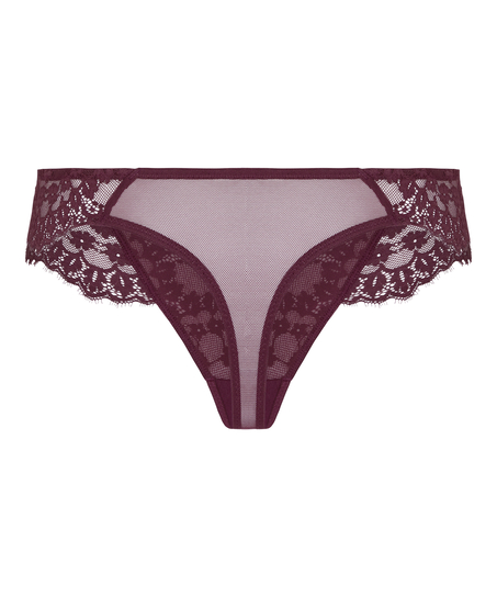 Thong Daisy, Purple