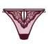 Cinnamon Thong, Purple