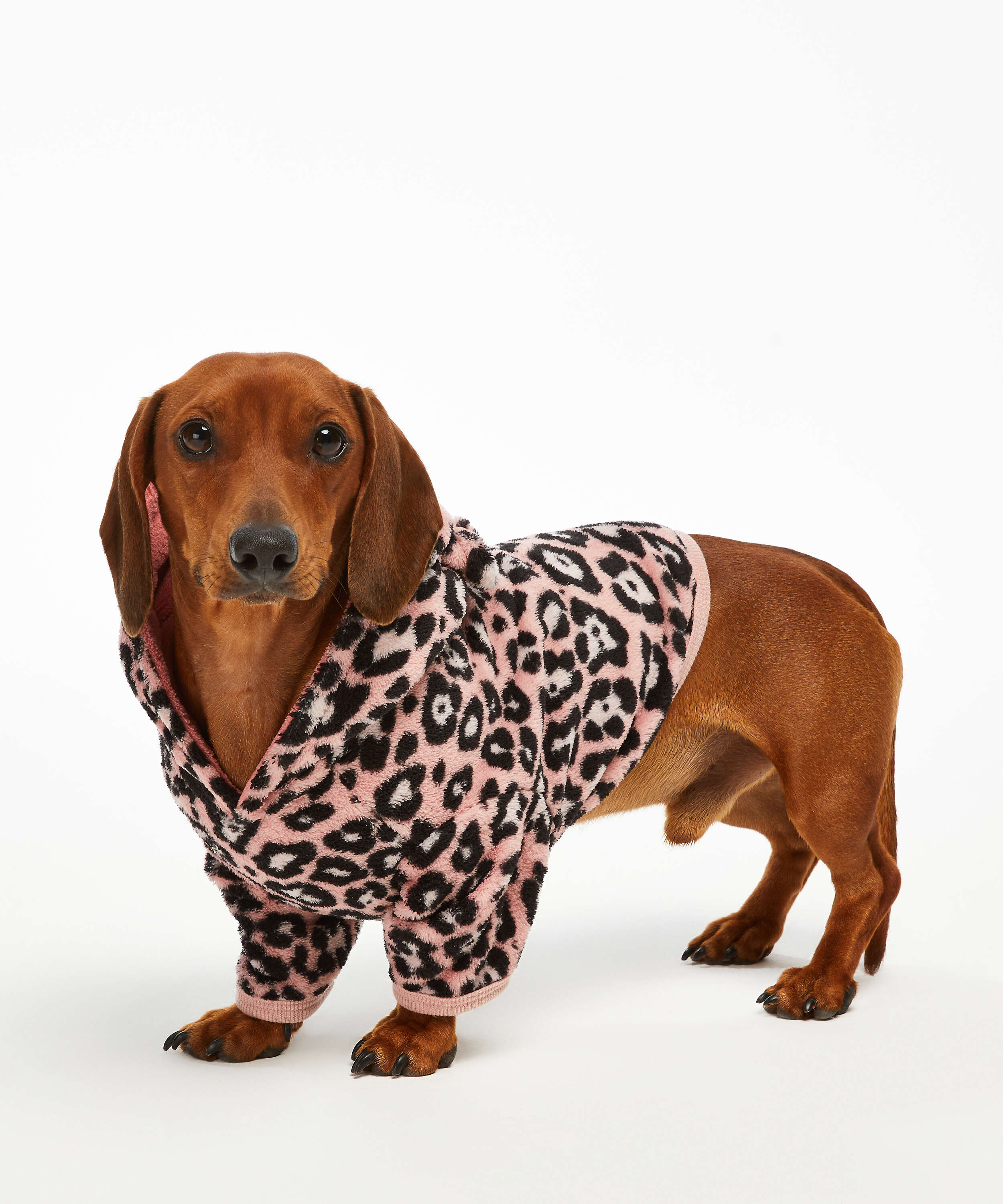 Dog's Fleece Onesie for €17.99 Onesies Hunkemöller