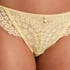 Daisy Brazilian, Yellow