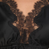Butterfly Top Legacy, Black