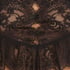 Top Allover Lace Legacy, Black