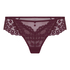 Thong Daisy, Purple