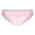 Brazilian Camellia, Pink