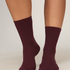 3-Pack Cotton Crew Socks, Purple