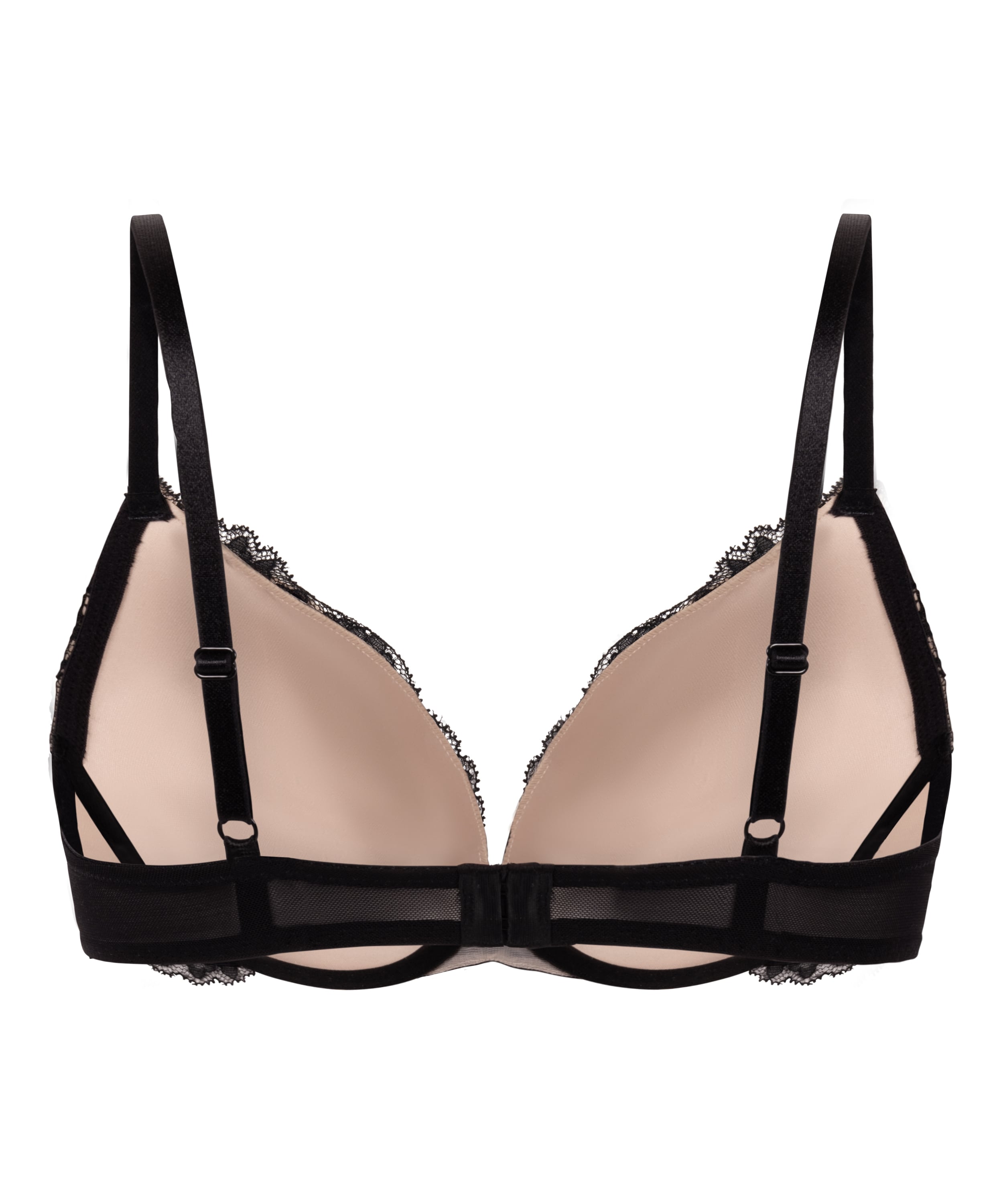 Teddy Padded Push-Up Underwired Bra, Black, main