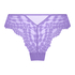 Daisy Brazilian, Purple