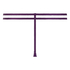 Cinnamon Thong, Purple