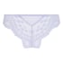 Daisy Brazilian, Purple