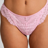 Daisy Brazilian, Pink