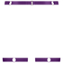 Belladonna Suspenders, Purple