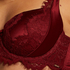 Hannako Padded Underwired Bra, Red