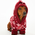 Dog's Fleece Onesie, Red