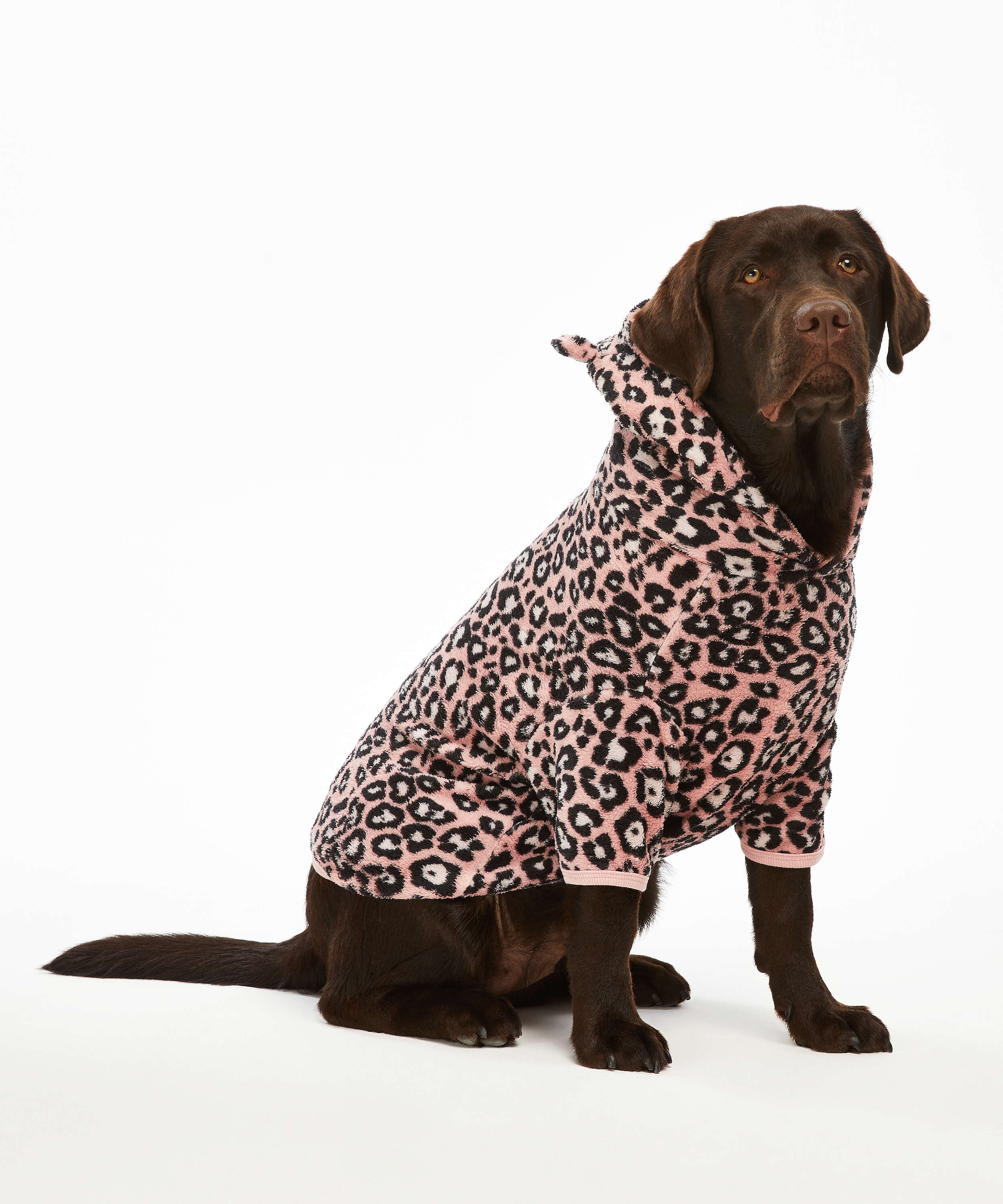 Dog's Fleece Onesie for €17.99 Onesies Hunkemöller