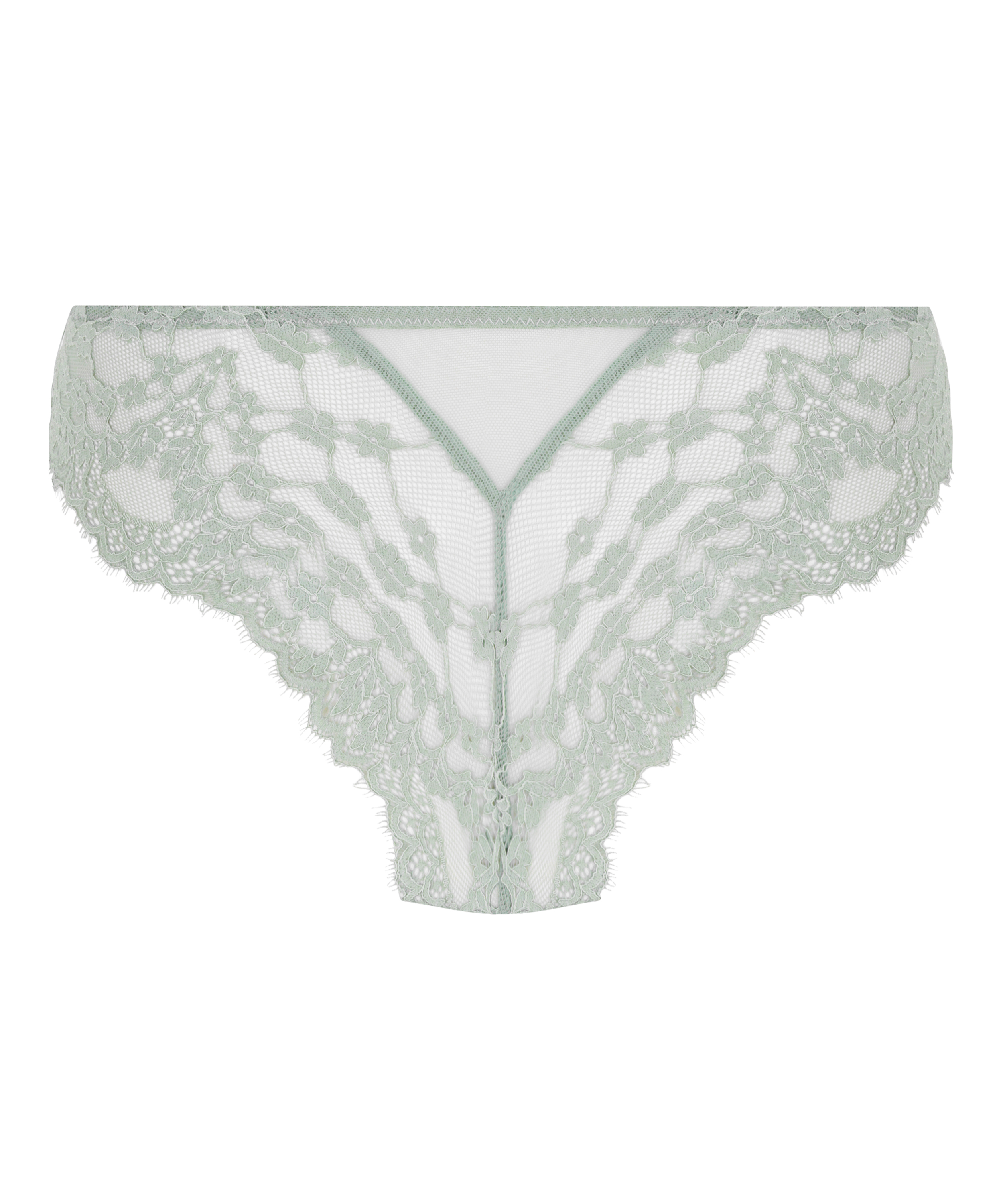 Brazilian Daisy, Green, main