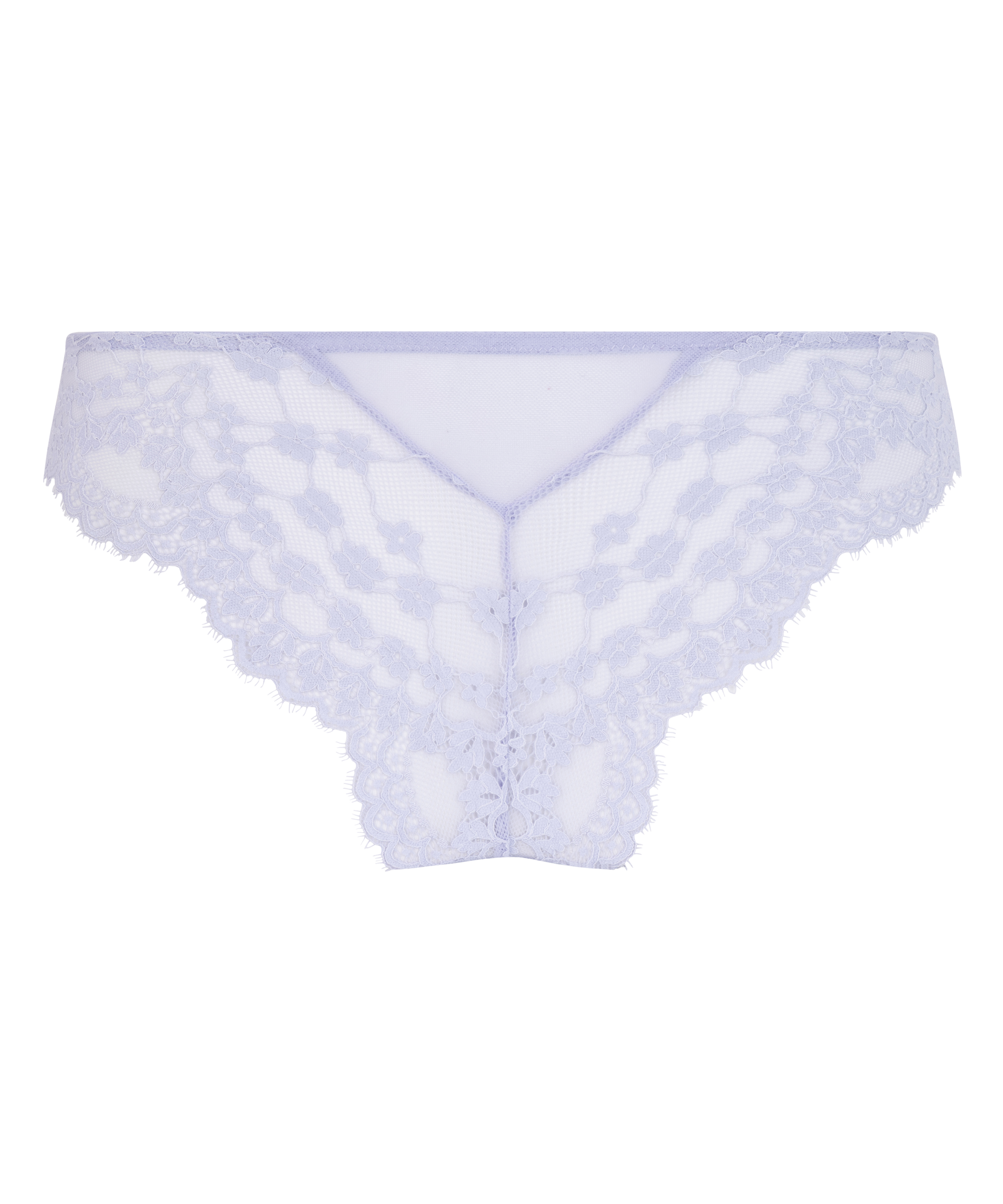 Brazilian Daisy, Purple, main