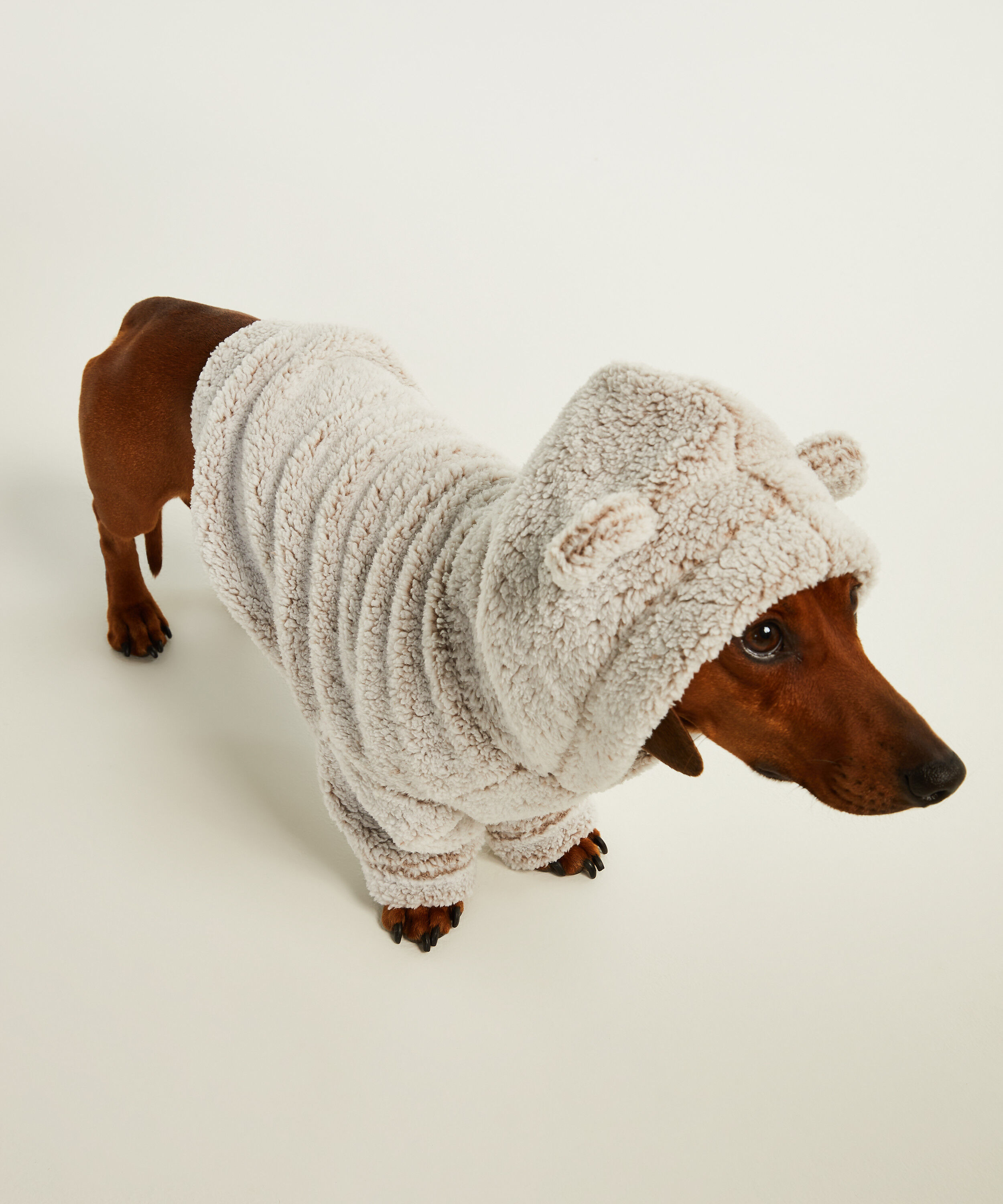 onesies for dachshunds