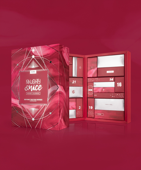 sexy lingerie advent calendar The Best Sex Toys for Women main image 0