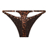 Highleg Thong Quinn, Brown