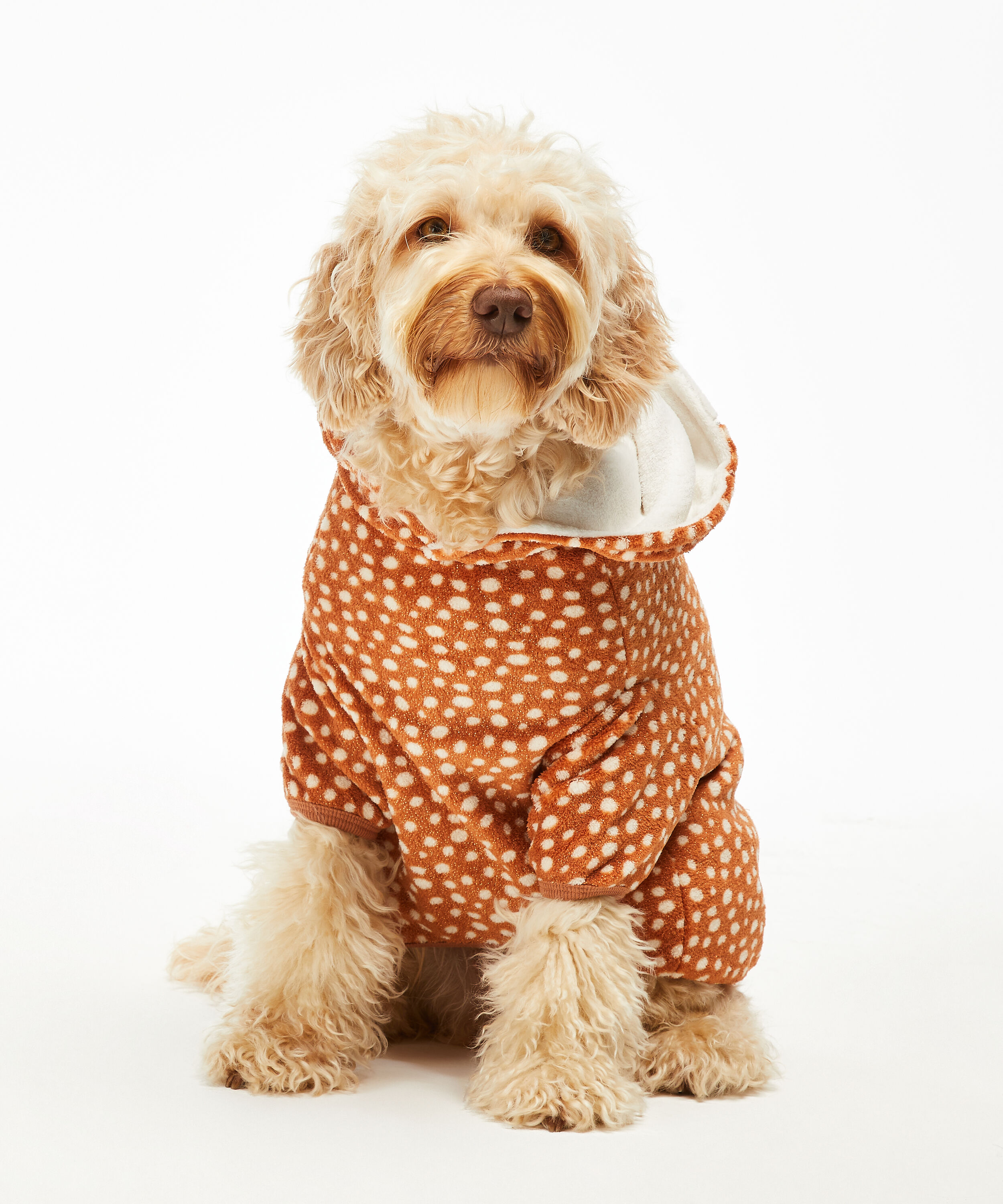 dog fleece onesie
