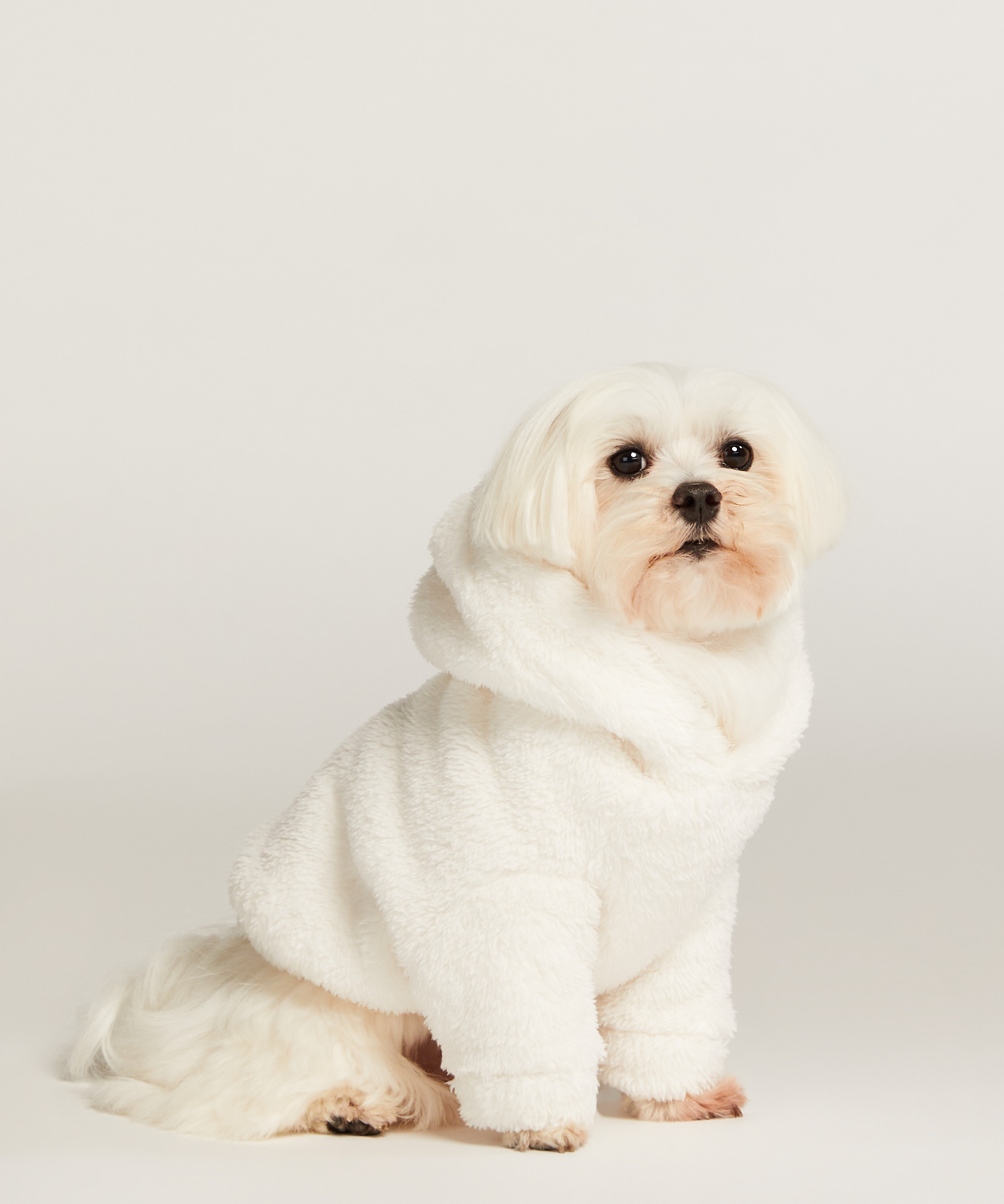 Dog Onesie, White, main