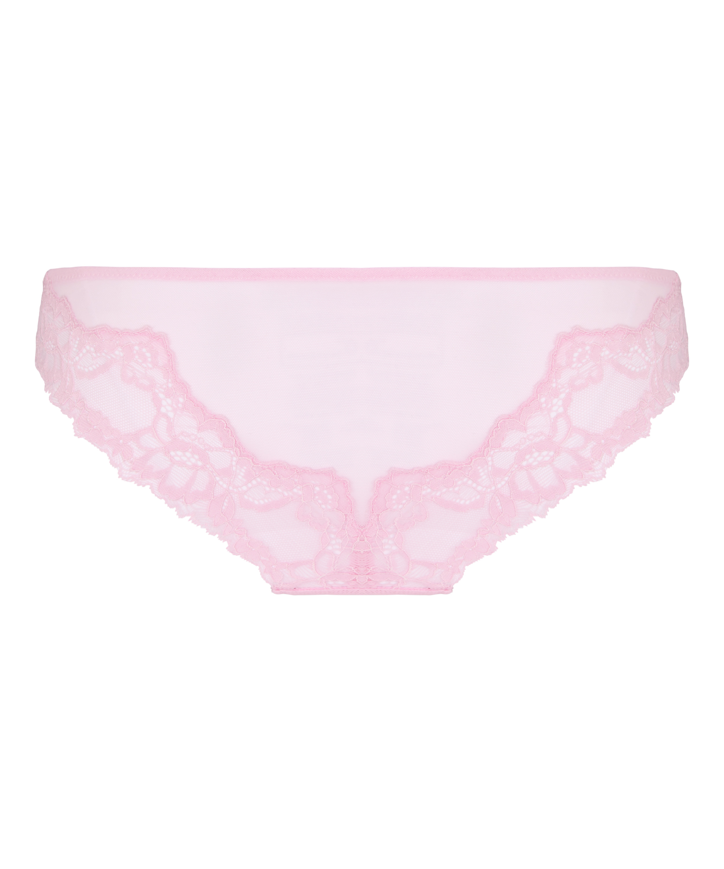 Brazilian Camellia, Pink, main