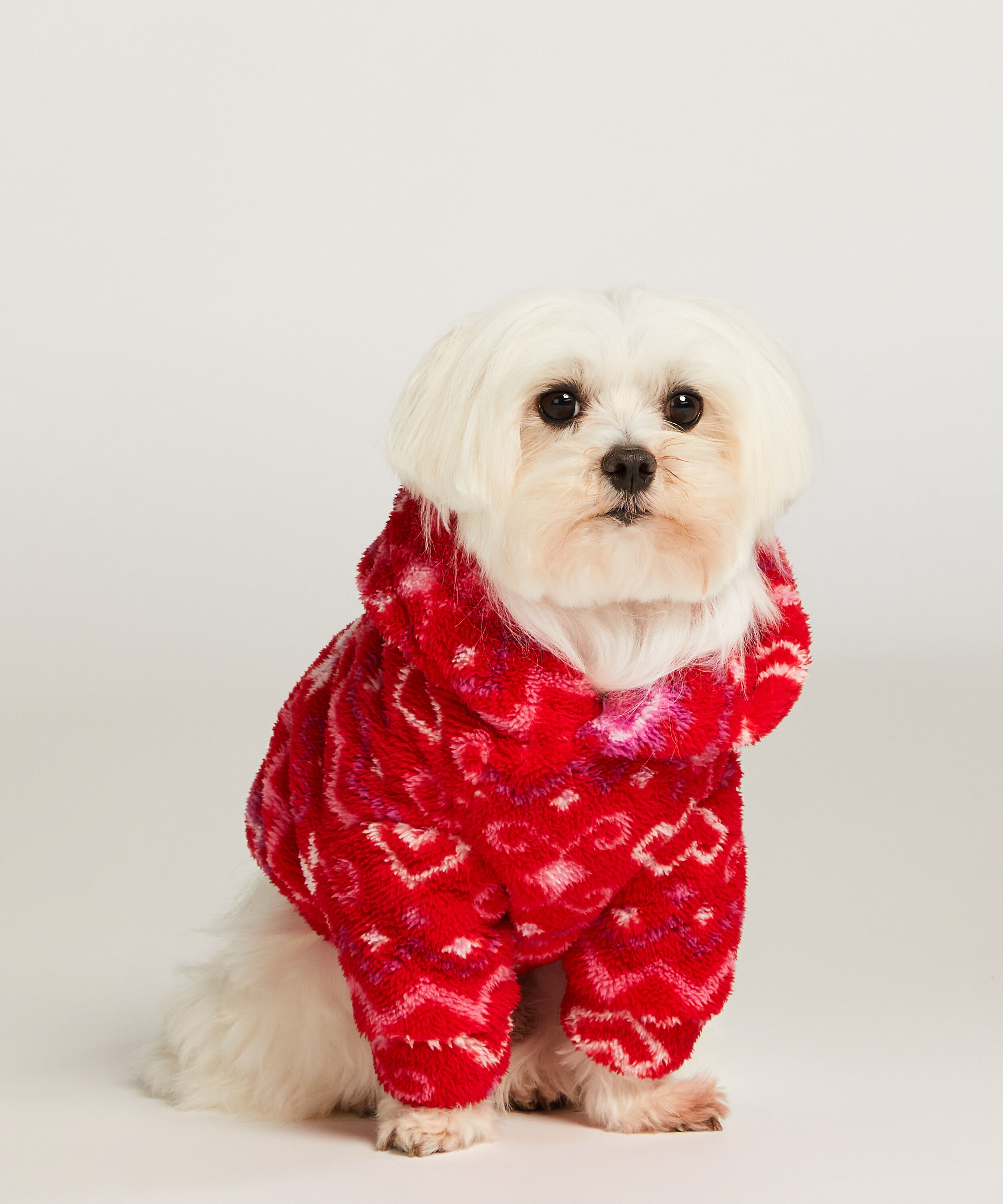 Dog Onesie, Red
