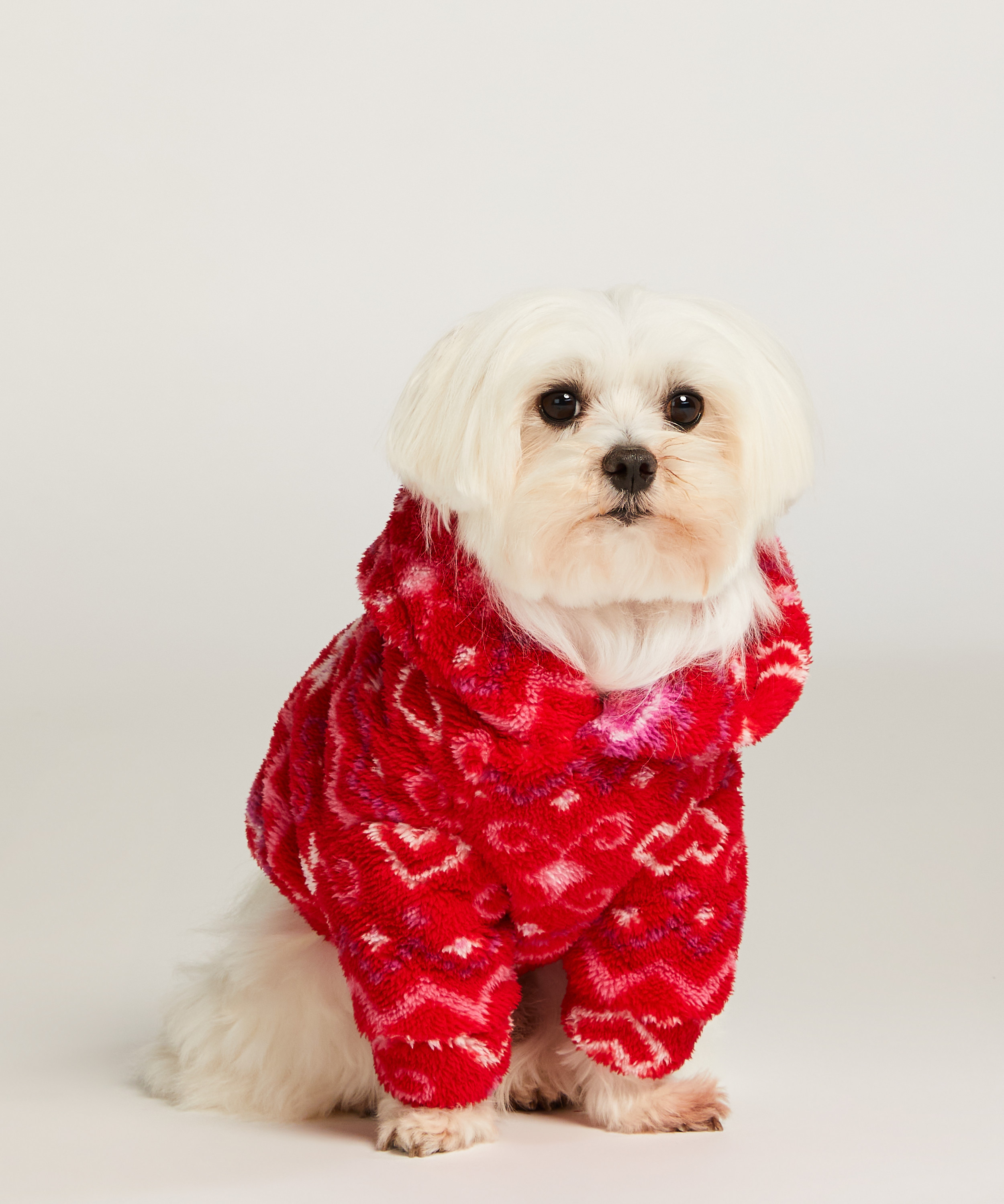 Dog Onesie, Red, main