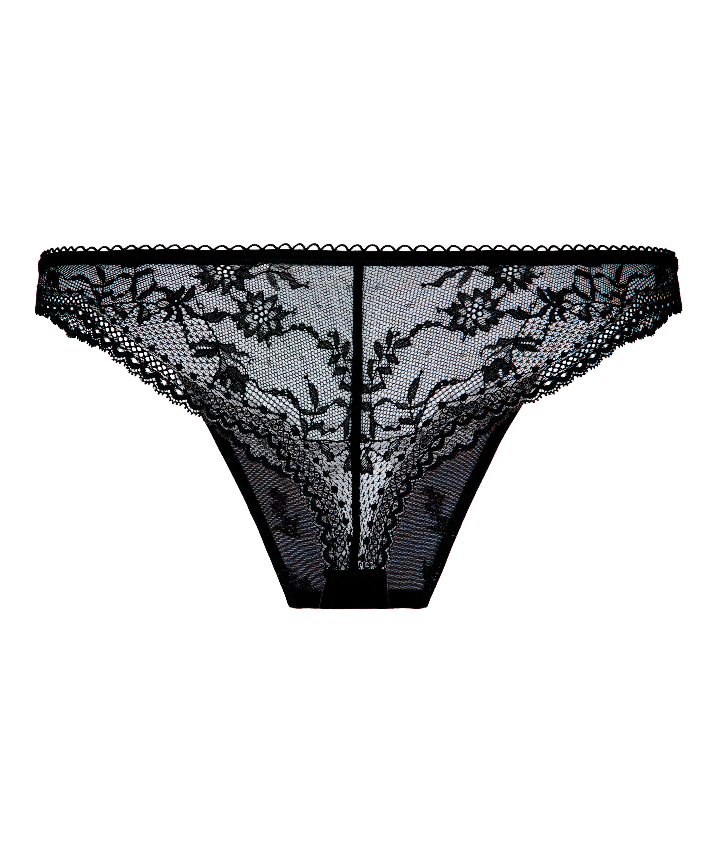 Brazilian Iris, Black, main