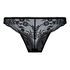 Brazilian Iris, Black