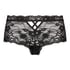 Boxer Hailee, Black