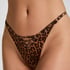 Highleg Thong Quinn, Brown