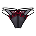 Brazilian Dahlia, Black
