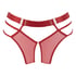 Sable Brazilian, Red