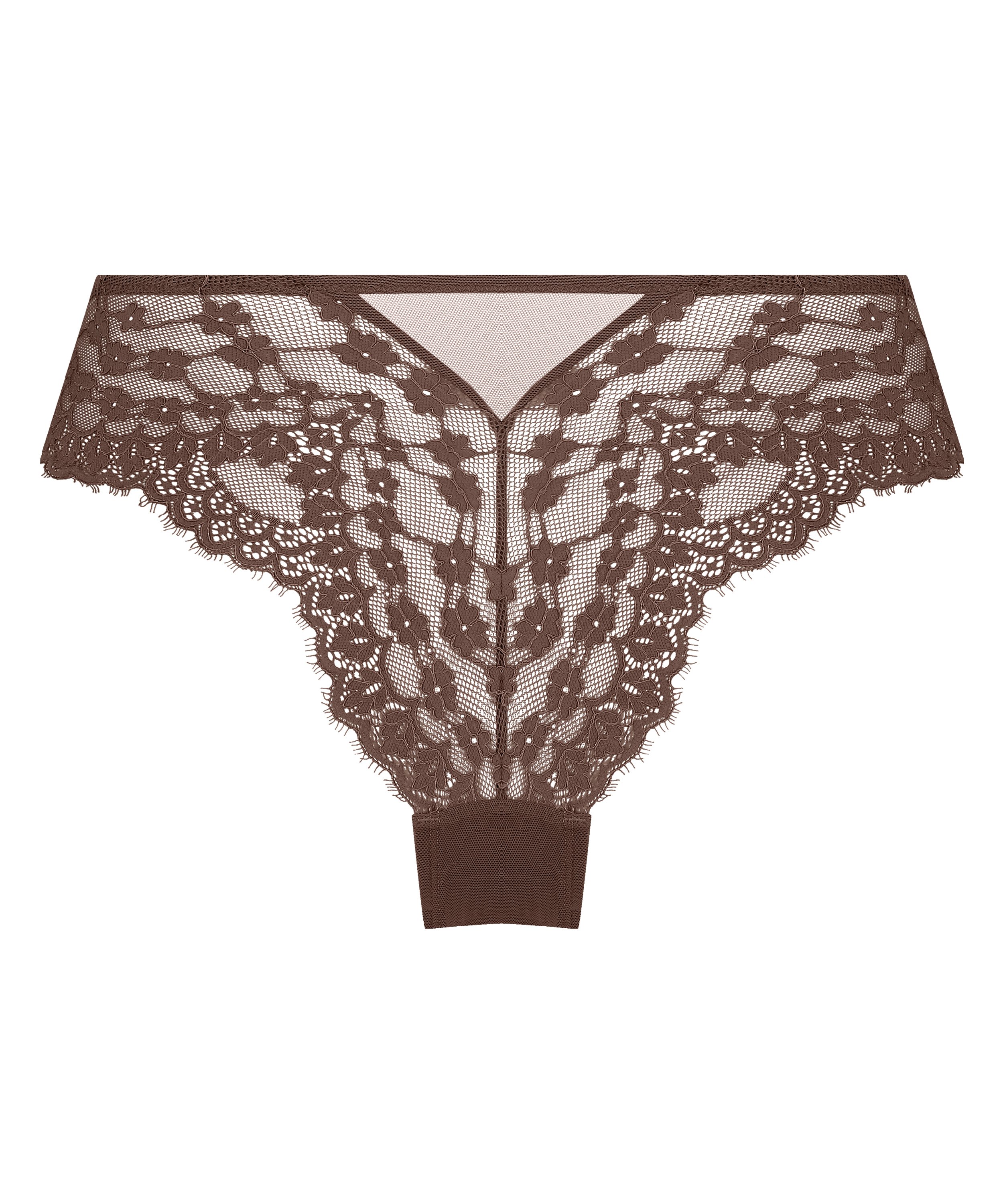 Daisy Brazilian, Brown, main