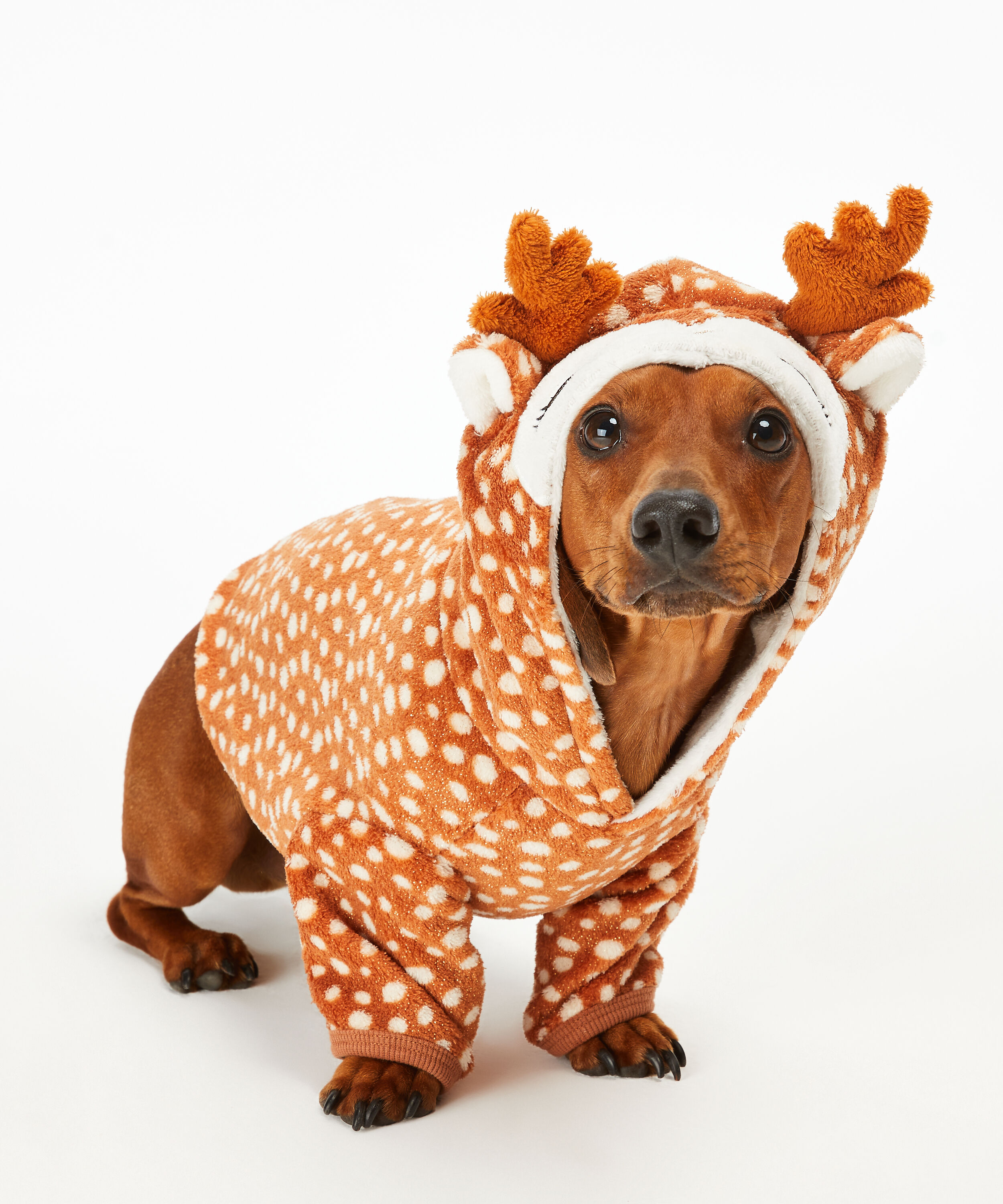 dog fleece onesie
