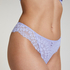 Daisy Brazilian, Purple
