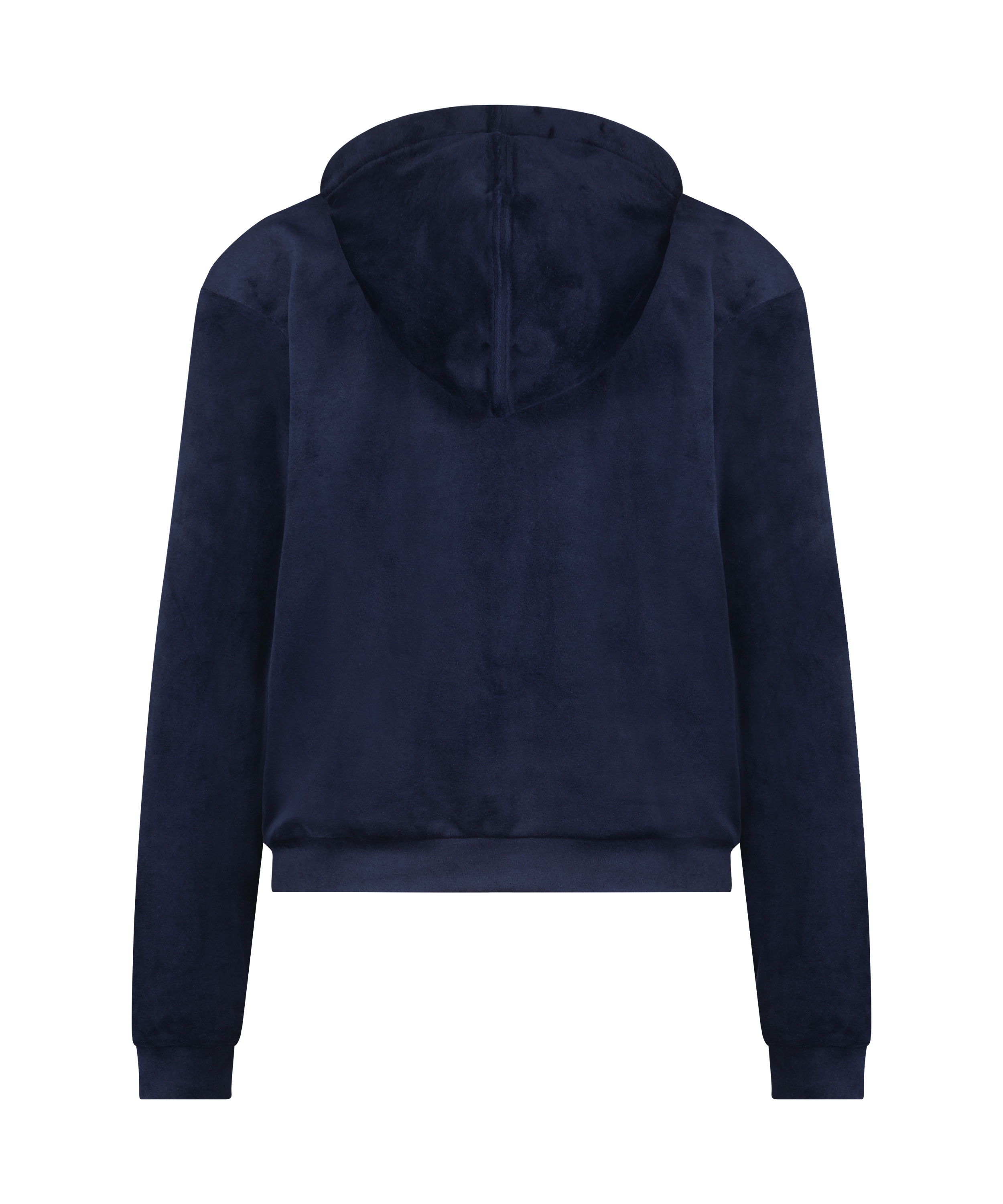Velour hoodie jacket, Blue, main