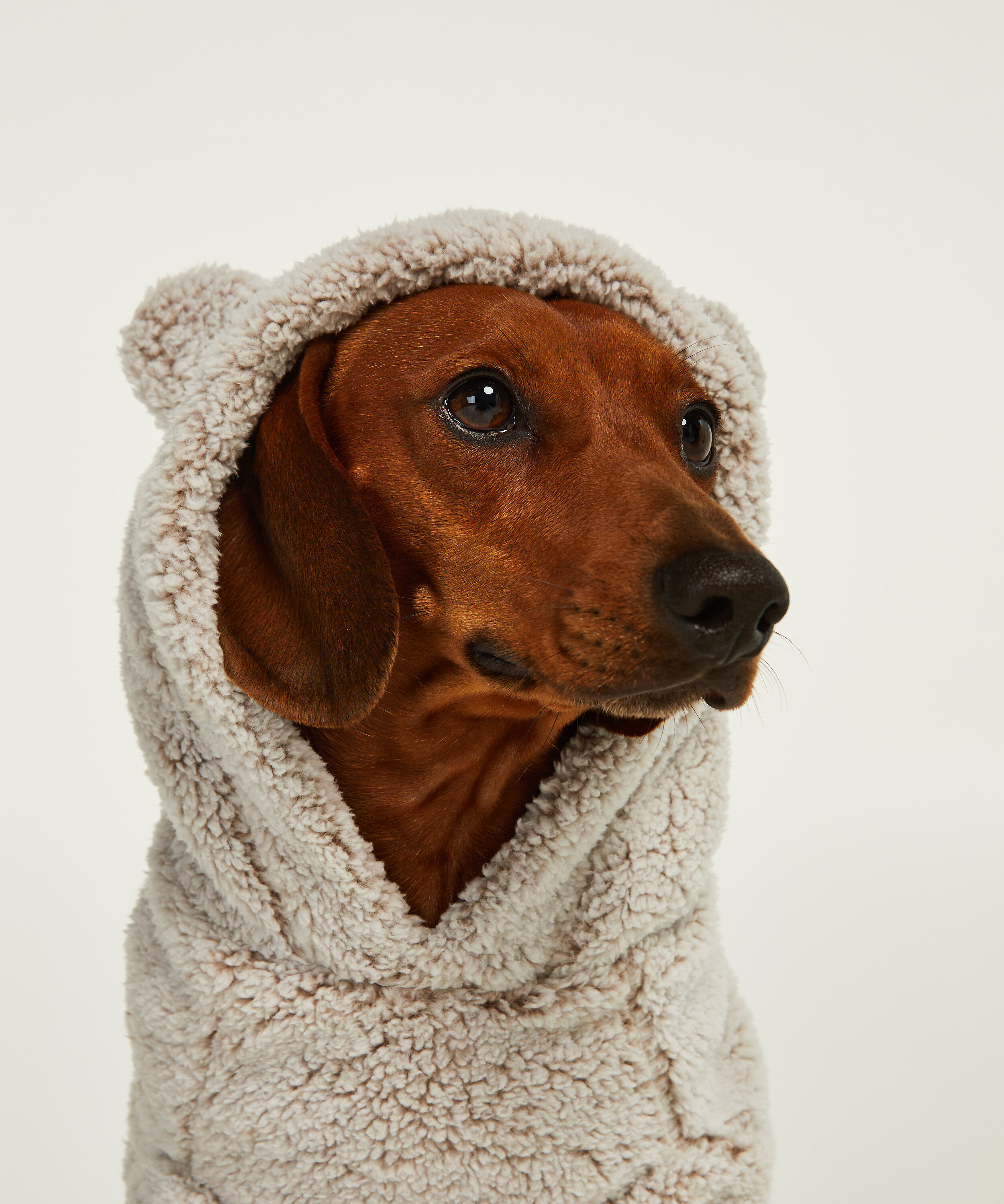 dog fleece onesie