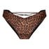 Highleg Brazilian Quinn, Brown