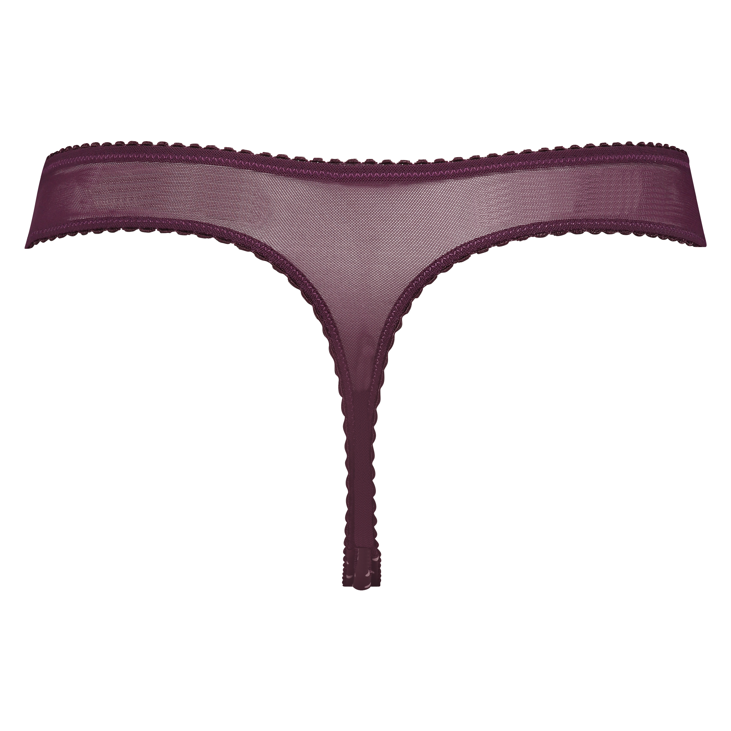Leigh thong, Purple, main