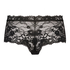 Boxer Hailee, Black
