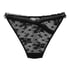 Darcy Thong, Black
