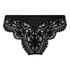Poppy Brazilian, Black