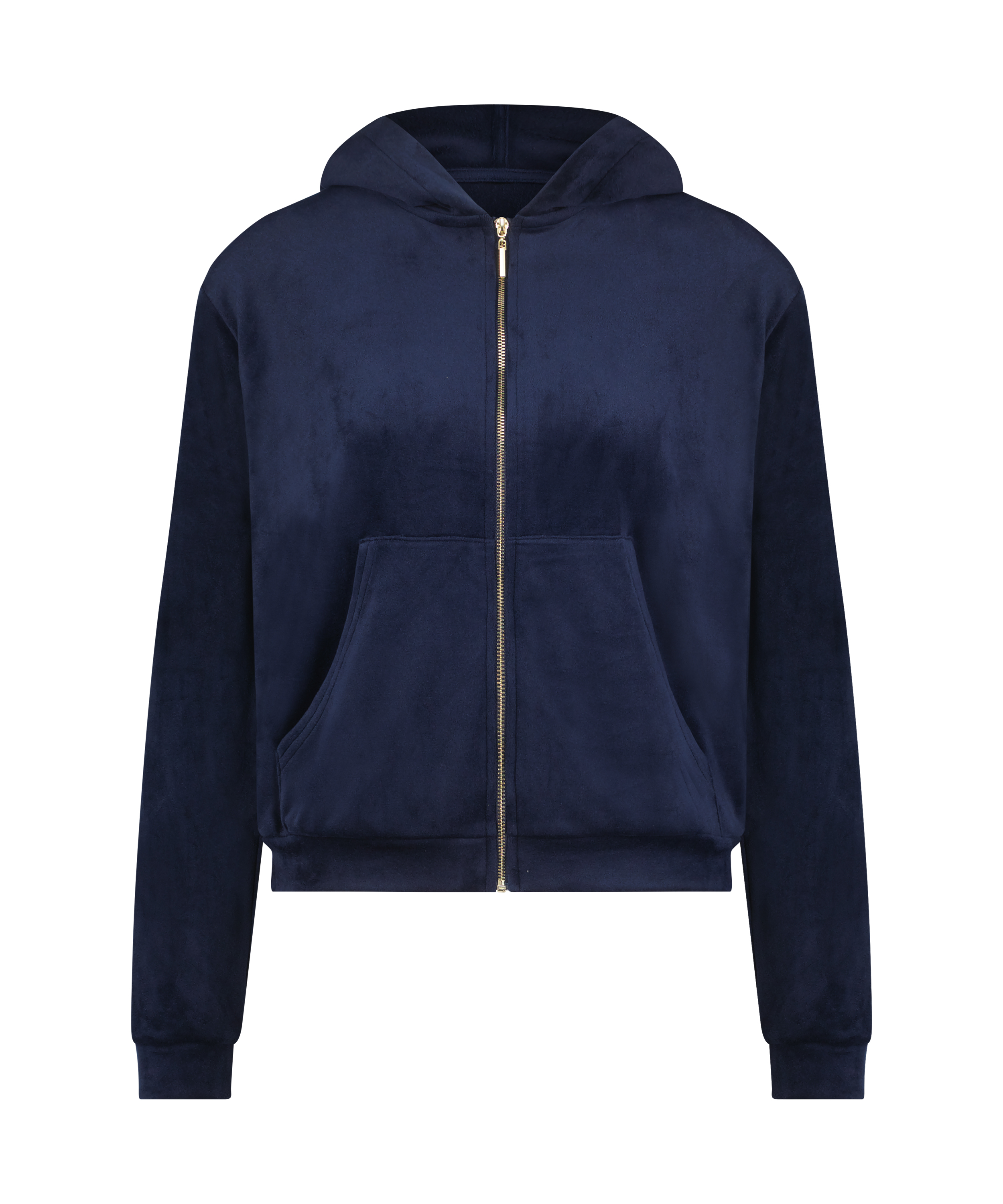Velour hoodie jacket, Blue, main
