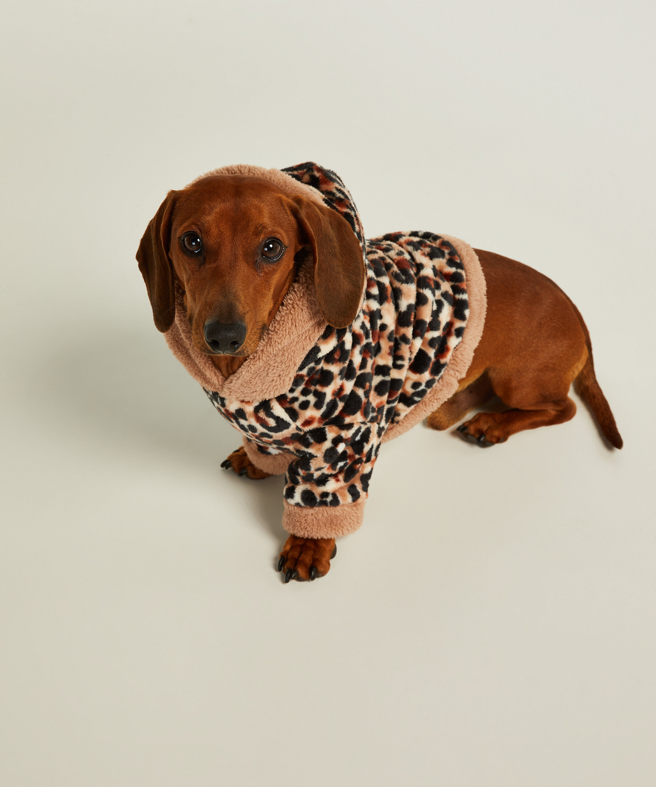 custom dog dresses