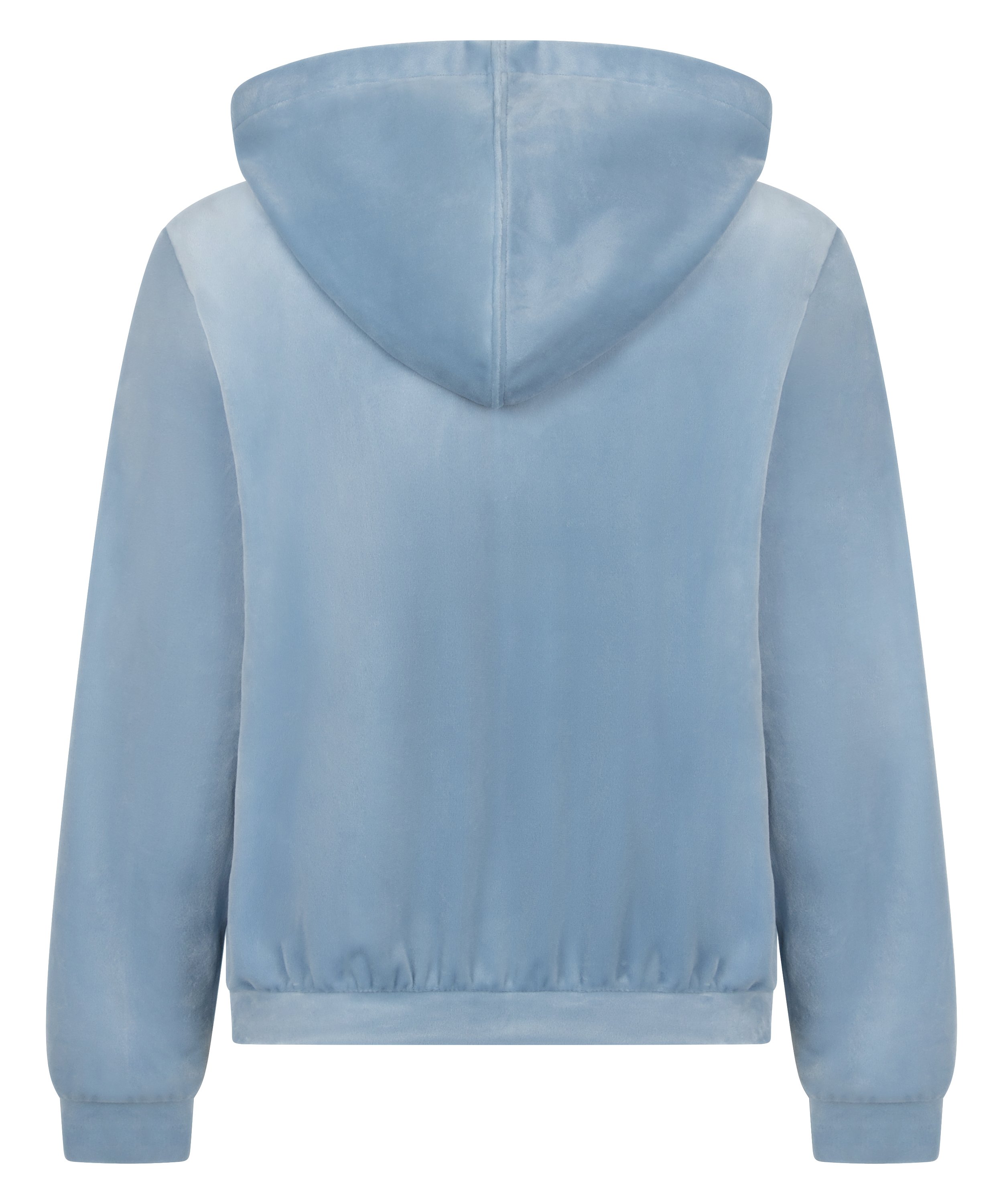 Velour hoodie jacket, Blue, main