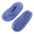 Ballerina slippers, Blue