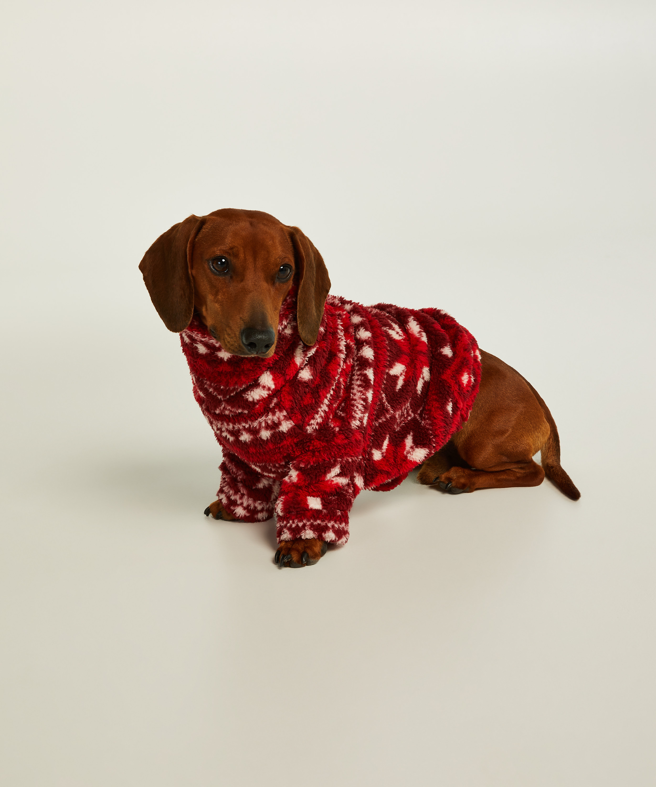 Dog Onesie, Red, main