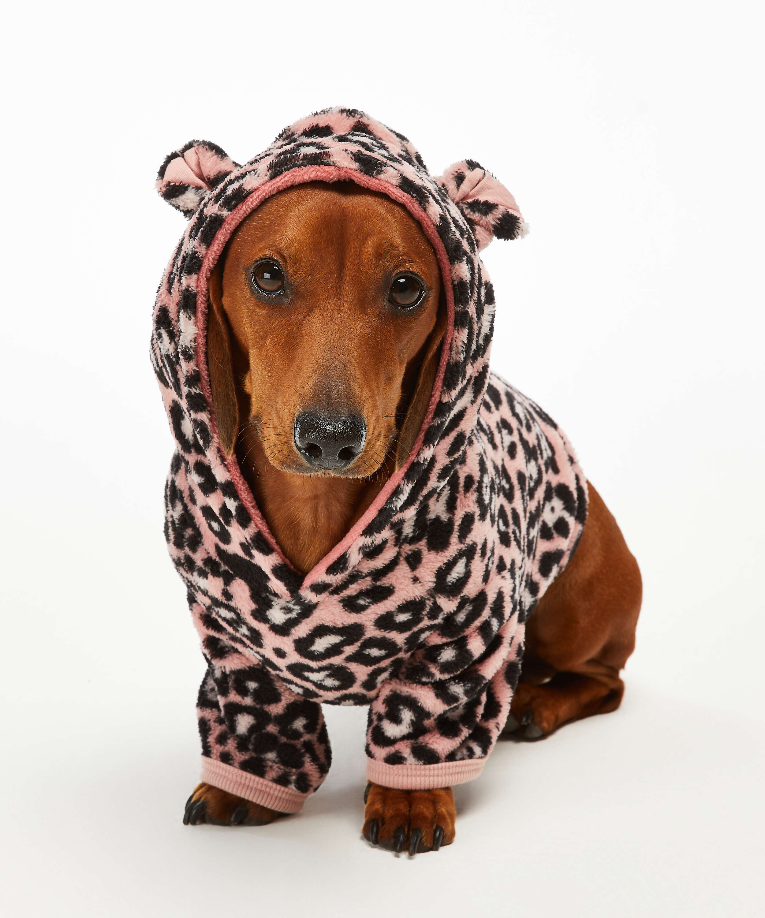 Dog's Fleece Onesie for €17.99 Onesies Hunkemöller
